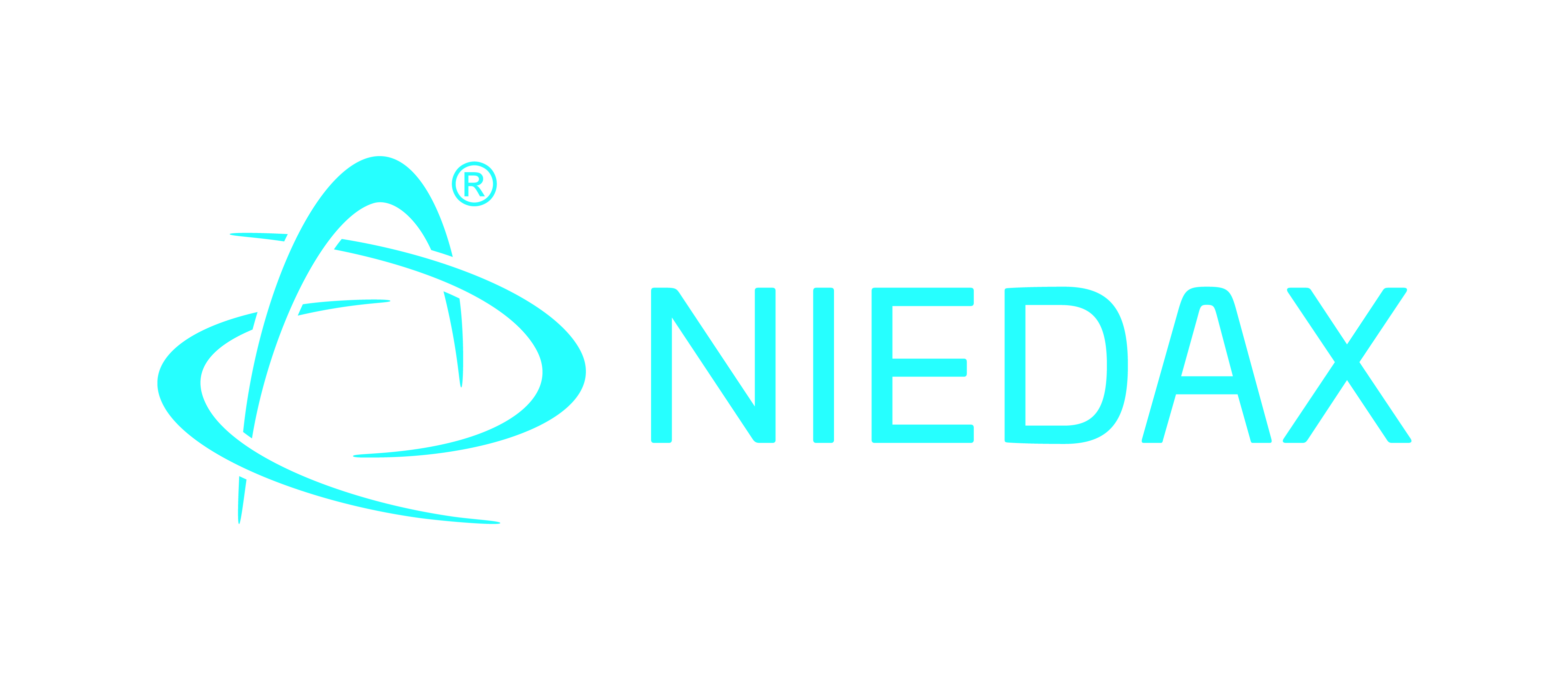 Logo Niedax